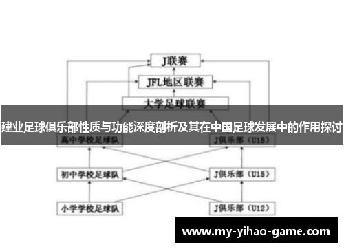 建业足球俱乐部性质与功能深度剖析及其在中国足球发展中的作用探讨