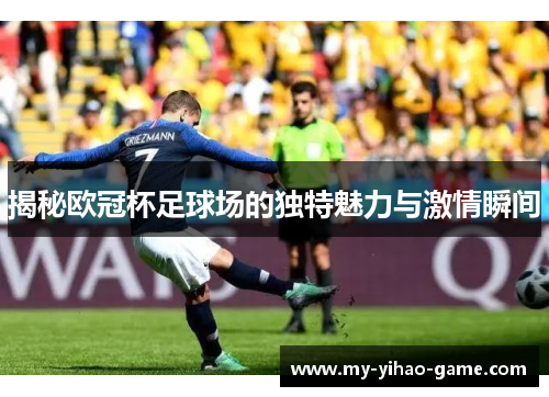 揭秘欧冠杯足球场的独特魅力与激情瞬间